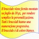 BRACCIALE MULTIFIBRA