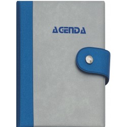 AGENDA IN TAM