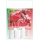 CARNE