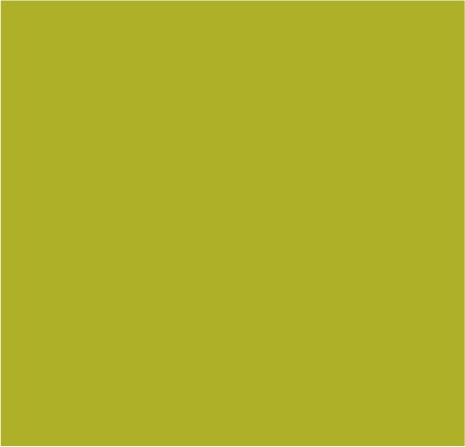 VERDE MILITARE